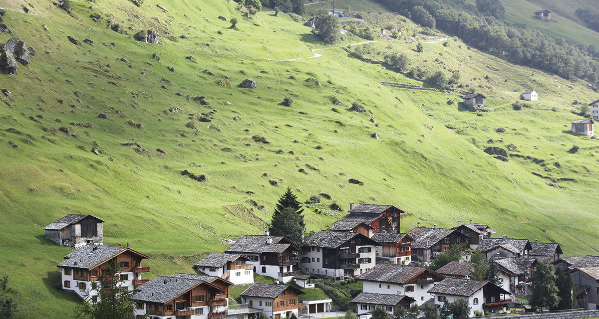 Stone, water and grass