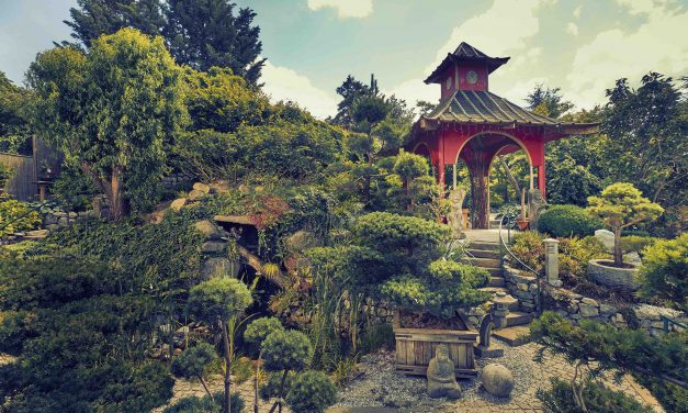 Wonderland of Garden Fantasies